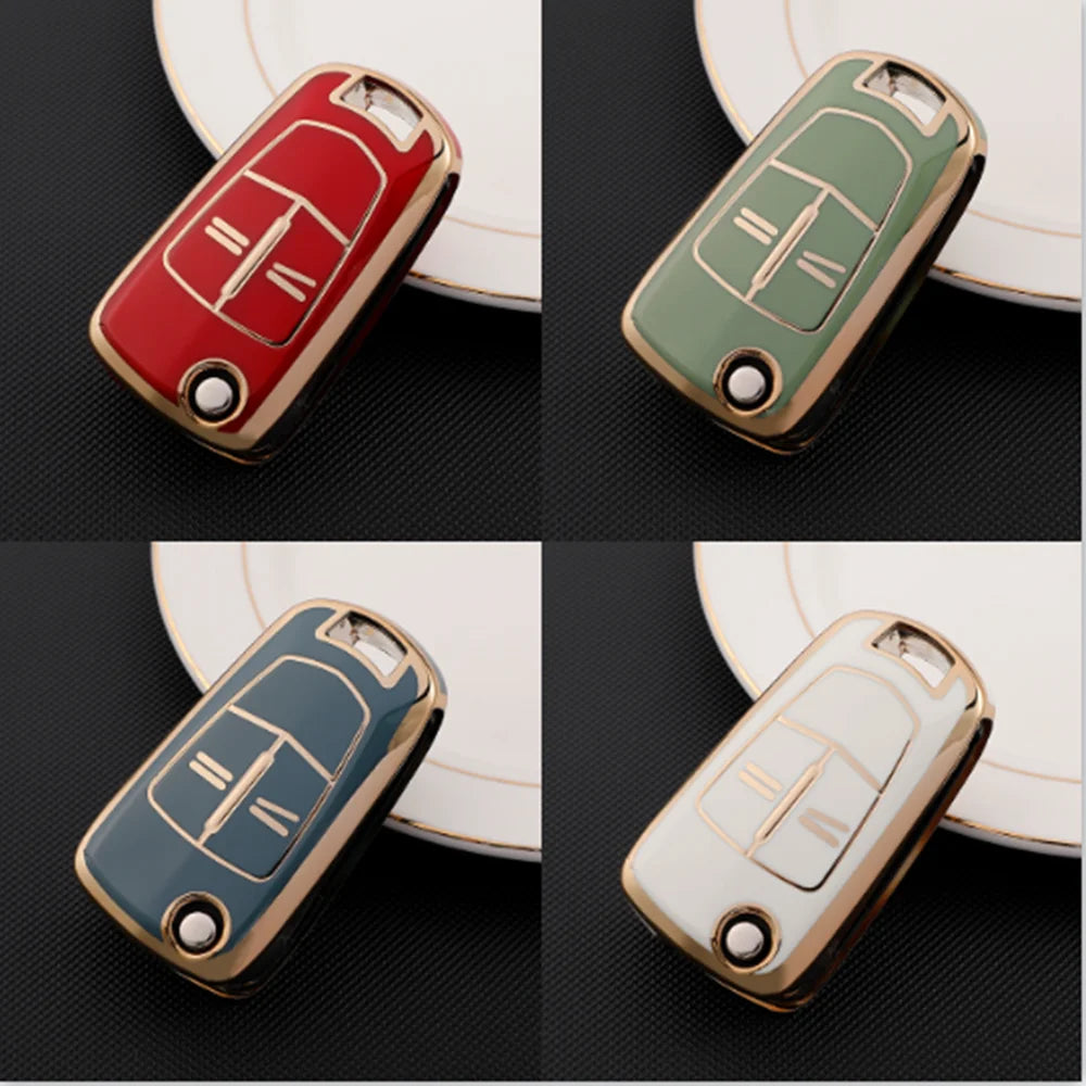 Case for Holden